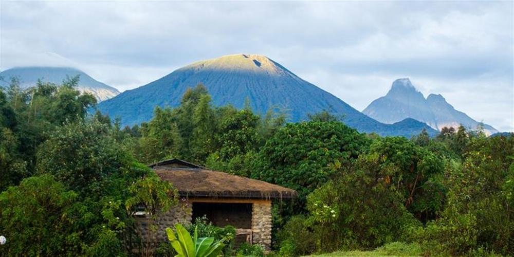 Gorilla Mountain View Lodge